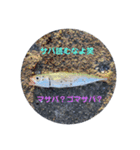 お魚祭り！！（個別スタンプ：7）