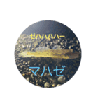 お魚祭り！！（個別スタンプ：8）