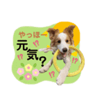 かんな＆Buddy（個別スタンプ：2）