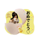 かんな＆Buddy（個別スタンプ：3）