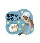 かんな＆Buddy（個別スタンプ：6）
