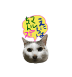 セーノ！（個別スタンプ：7）