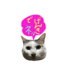 セーノ！（個別スタンプ：8）