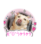 黄色いお方3（個別スタンプ：3）