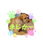 黄色いお方3（個別スタンプ：5）