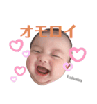 こはちゃん.①（個別スタンプ：3）