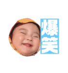 こはちゃん.①（個別スタンプ：4）