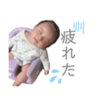 こはちゃん.①（個別スタンプ：13）