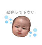 こはちゃん.①（個別スタンプ：14）