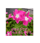 本日の挨拶（個別スタンプ：3）