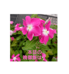 本日の挨拶（個別スタンプ：7）