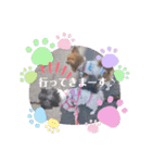 これでもパピヨン☆陸＆毬パート4（個別スタンプ：13）