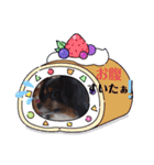 これでもパピヨン☆陸＆毬パート4（個別スタンプ：14）