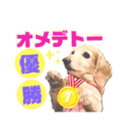 lovelyダックスフンド・アンの日常Part6（個別スタンプ：17）