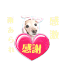 lovelyダックスフンド・アンの日常Part6（個別スタンプ：19）