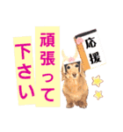 lovelyダックスフンド・アンの日常Part6（個別スタンプ：20）