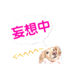 lovelyダックスフンド・アンの日常Part6（個別スタンプ：25）