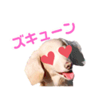 lovelyダックスフンド・アンの日常Part6（個別スタンプ：37）