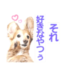 lovelyダックスフンド・アンの日常Part6（個別スタンプ：38）