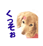 lovelyダックスフンド・アンの日常Part6（個別スタンプ：39）