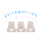 ころんちゃんとマルくん（個別スタンプ：12）