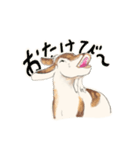 トカラヤギの沢田さん（個別スタンプ：9）