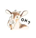 トカラヤギの沢田さん（個別スタンプ：23）