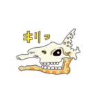 骨っこ動物（個別スタンプ：3）