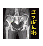 骨っこ動物（個別スタンプ：37）