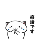 ネコちゃんスタンプ しろ（個別スタンプ：23）