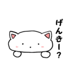 ネコちゃんスタンプ しろ（個別スタンプ：26）