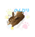 アホうさぎハンナ（個別スタンプ：3）