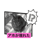 アホうさぎハンナ（個別スタンプ：5）