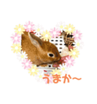 アホうさぎハンナ（個別スタンプ：8）