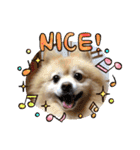 かわいい♡犬と猫♡（個別スタンプ：2）