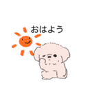 白くてかわいい犬（個別スタンプ：3）
