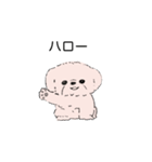 白くてかわいい犬（個別スタンプ：4）