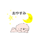 白くてかわいい犬（個別スタンプ：5）