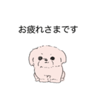 白くてかわいい犬（個別スタンプ：8）