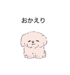 白くてかわいい犬（個別スタンプ：10）
