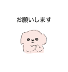 白くてかわいい犬（個別スタンプ：11）