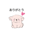 白くてかわいい犬（個別スタンプ：13）