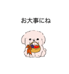 白くてかわいい犬（個別スタンプ：15）