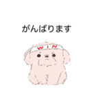 白くてかわいい犬（個別スタンプ：19）