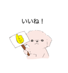 白くてかわいい犬（個別スタンプ：20）