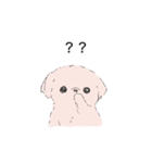 白くてかわいい犬（個別スタンプ：22）