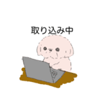 白くてかわいい犬（個別スタンプ：24）