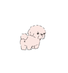 白くてかわいい犬（個別スタンプ：29）