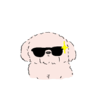 白くてかわいい犬（個別スタンプ：31）