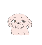 白くてかわいい犬（個別スタンプ：33）